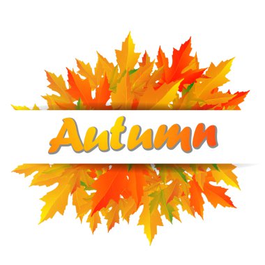 Sonbahar tipografik. Sonbahar yaprak.