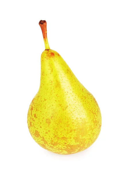 Fresh Conference Pear — Stock Photo, Image
