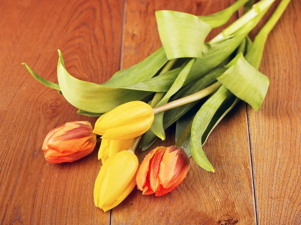 Tulip Flowers Bouquet — Stock Photo, Image