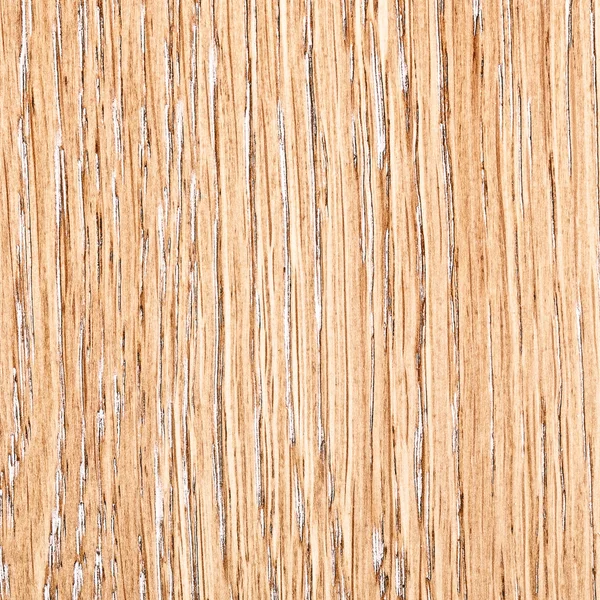 Textura de roble de madera — Foto de Stock