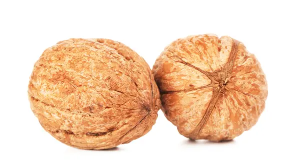 Two Walnuts In A Shell — Stock Photo, Image