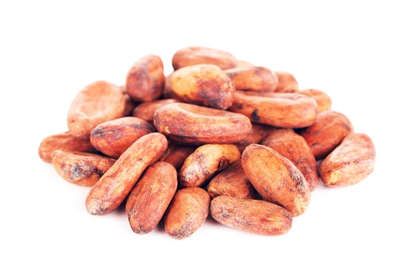 Fèves de cacao crues — Photo