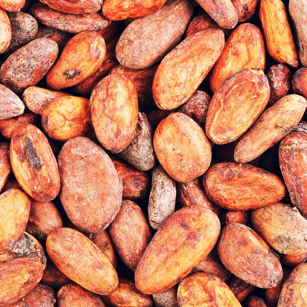 Rohe Kakaobohnen Hintergrund — Stockfoto