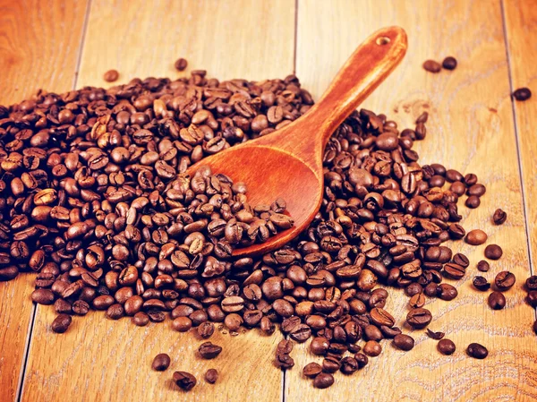 コーヒー豆の木のスプーン — ストック写真