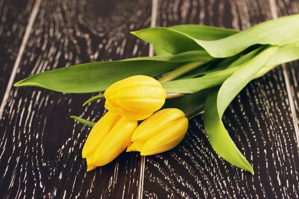 Fleurs de tulipe jaune — Photo