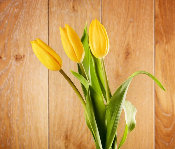 Fleurs de tulipe jaune — Photo