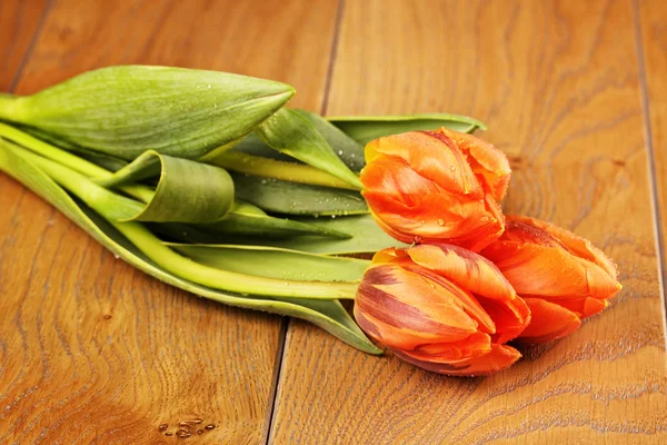 Orange Tulip Flowers — Stock Photo, Image