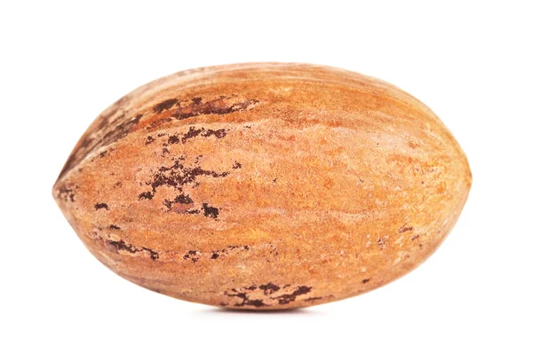 Porca de Pecan única em uma concha — Fotografia de Stock