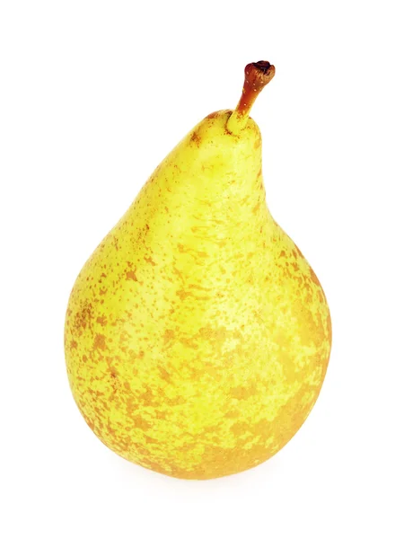 Fresh Conference Pear — Stock Photo, Image