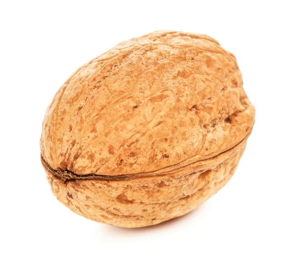 Single Walnut In A Shell — Stock Photo, Image