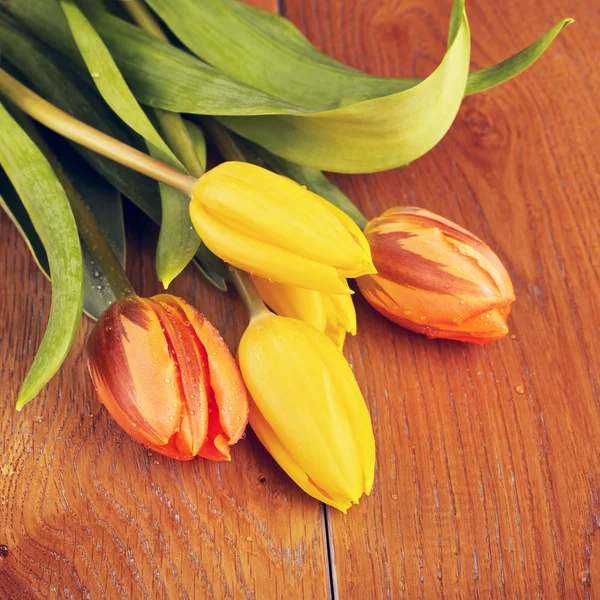 Bouquet de fleurs de tulipes — Photo