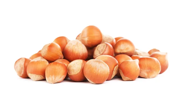 Hazelnuts In A Shell — Stock Photo, Image