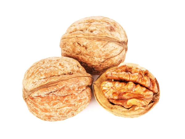 Sušené vlašské ořechy, samostatný — Stock fotografie