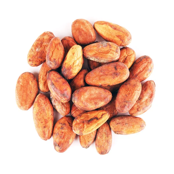 Syrové kakaové boby — Stock fotografie