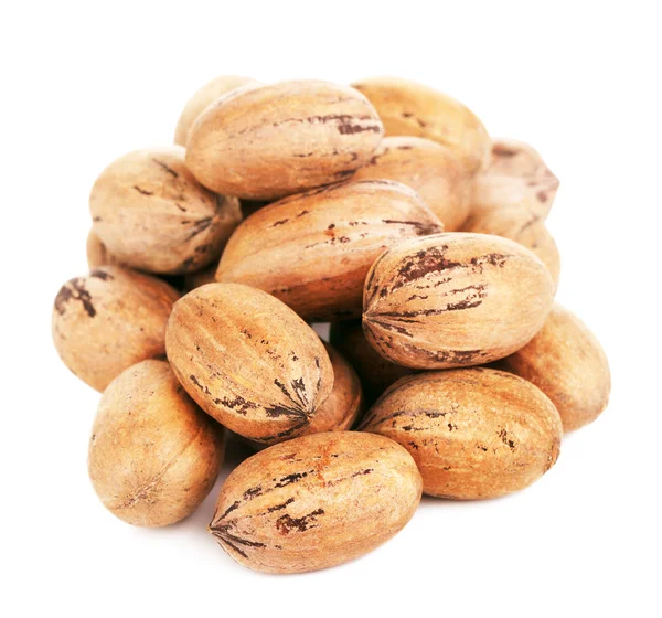 Porcas de Pecan em uma concha — Fotografia de Stock