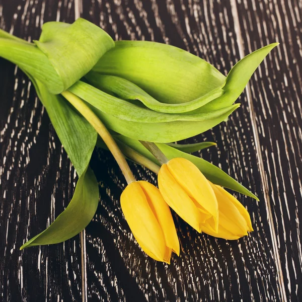Yellow Tulip Flowers — Stock Photo, Image