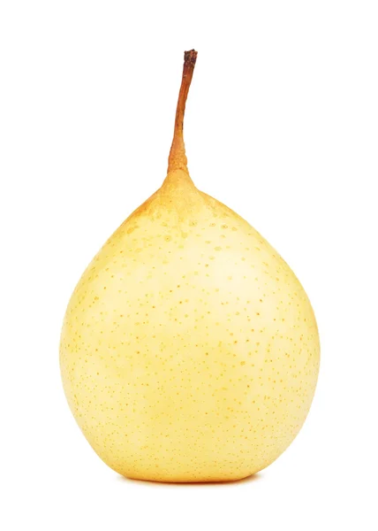 Poire chinoise fraîche — Photo