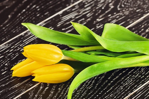 Fleurs de tulipe jaune — Photo