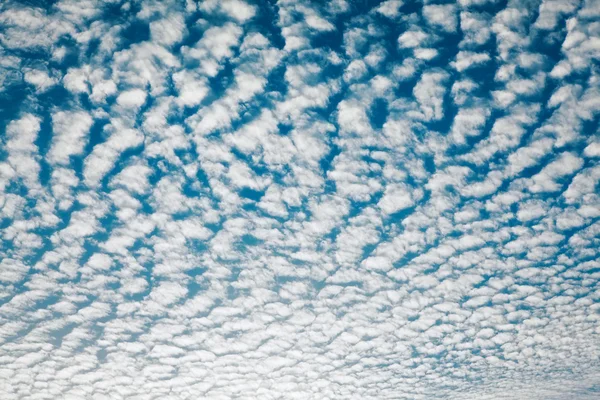 Scéna s oblaky s altocumulus mraky — Stock fotografie