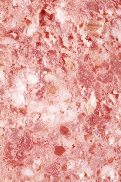 Fetta di salsiccia Primo piano — Foto Stock