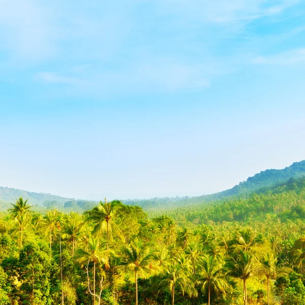 Wunderschöne tropische Landschaft — Stockfoto