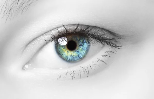 Human Eye — Stock Photo, Image