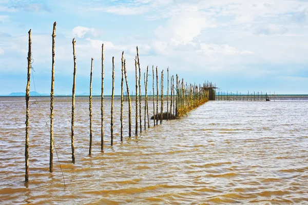 タイでの釣り — ストック写真