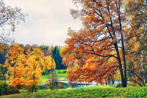 Podzimní krajina — Stock fotografie