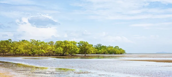 Andaman kust bij eb — Stockfoto