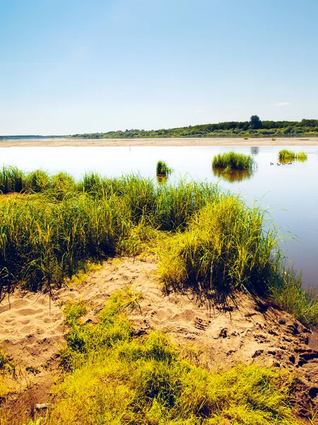 Río tranquilo. — Foto de Stock