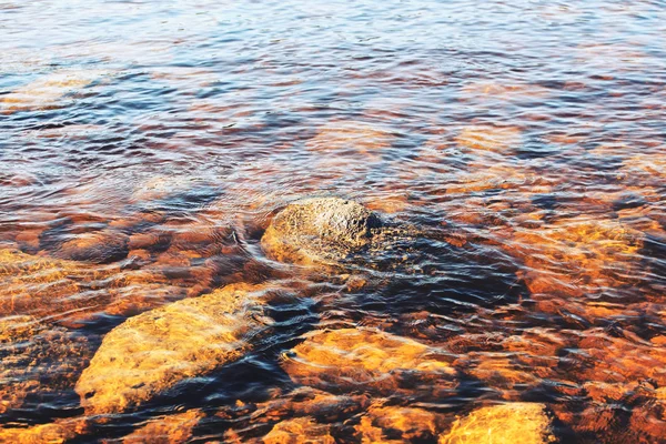 Дно реки — стоковое фото