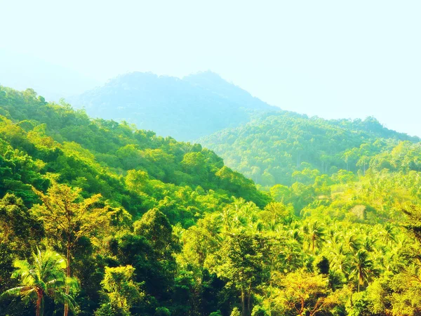 Bela paisagem tropical — Fotografia de Stock