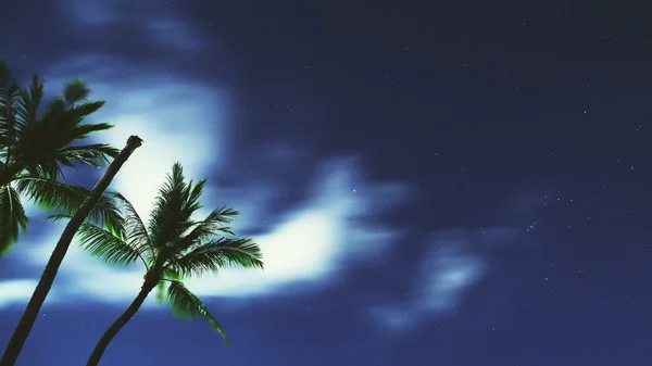 Tropical Night Sky