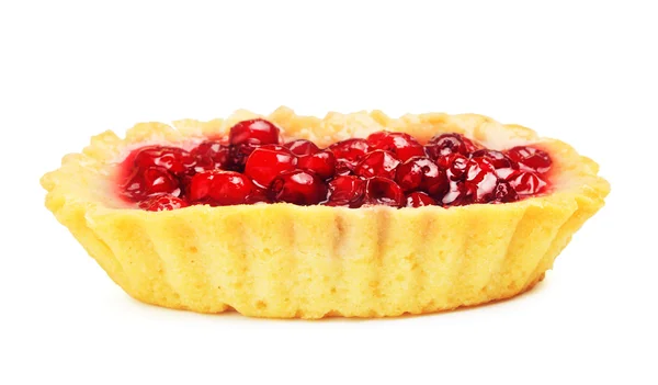 Preiselbeerkuchen — Stockfoto