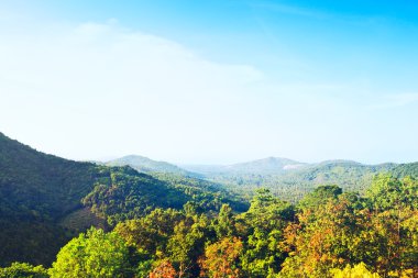 güzel tropik peyzaj