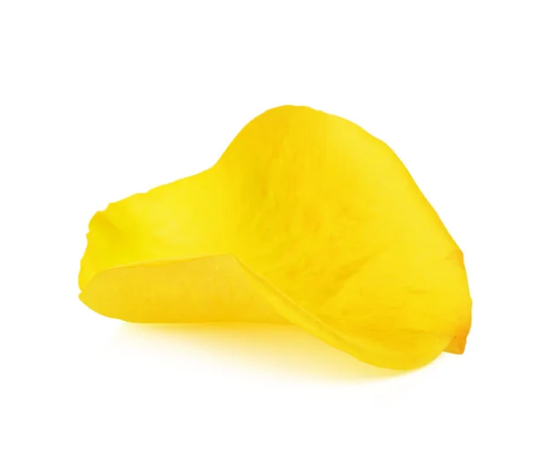 Pétalos amarillos — Foto de Stock
