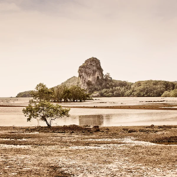 Paisagem tailandesa — Fotografia de Stock