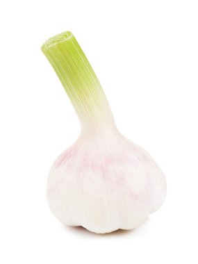 Genç taze sarımsak