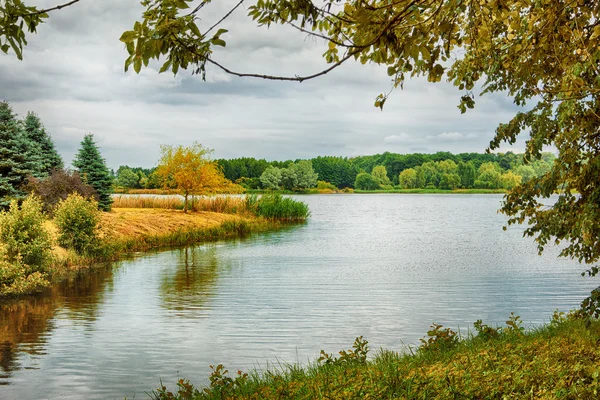 Paisagem florestal de outono — Fotografia de Stock