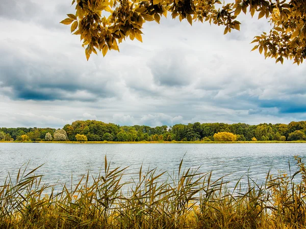 Höstens skogslandskap — Stockfoto