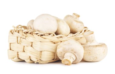 Taze şampiyon mantarları