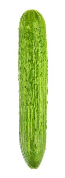 Uzun süre taze salatalık — Stok fotoğraf