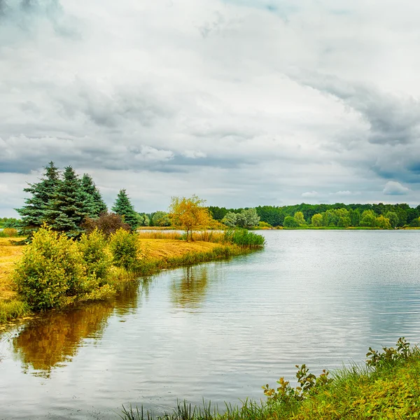 Podzimní Lesní krajina — Stock fotografie