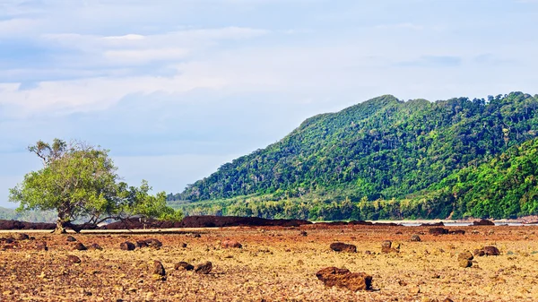 Maré baixa da costa rochosa — Fotografia de Stock