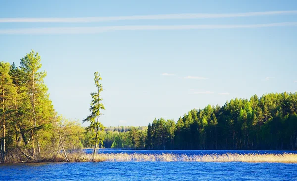 День на озере — стоковое фото