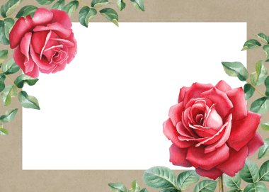 Gül çiçek suluboya çizimi.