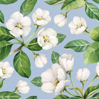 Seamless modeli apple çiçek suluboya resimler