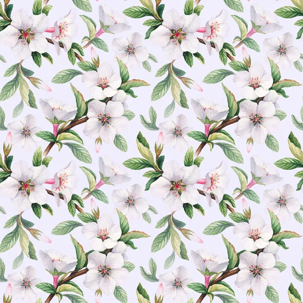 Seamless pattern with watercolor illustrations of cherry flowers — Stock Photo, Image