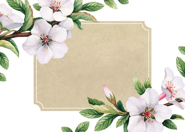 Watercolor cherry flowers — Stock Photo, Image