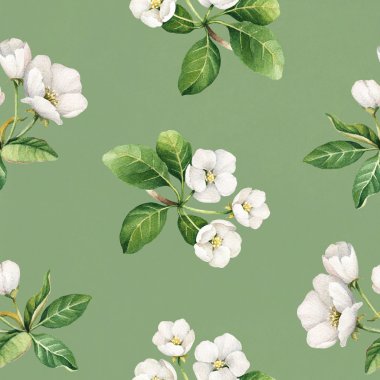 Seamless modeli apple çiçek suluboya resimler